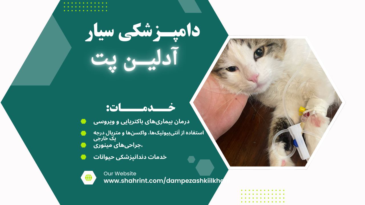 بهترین دامپزشکی سیار در محل در پیروزی