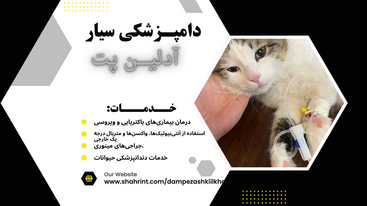 دامپزشکی سیار در جنوب تهران