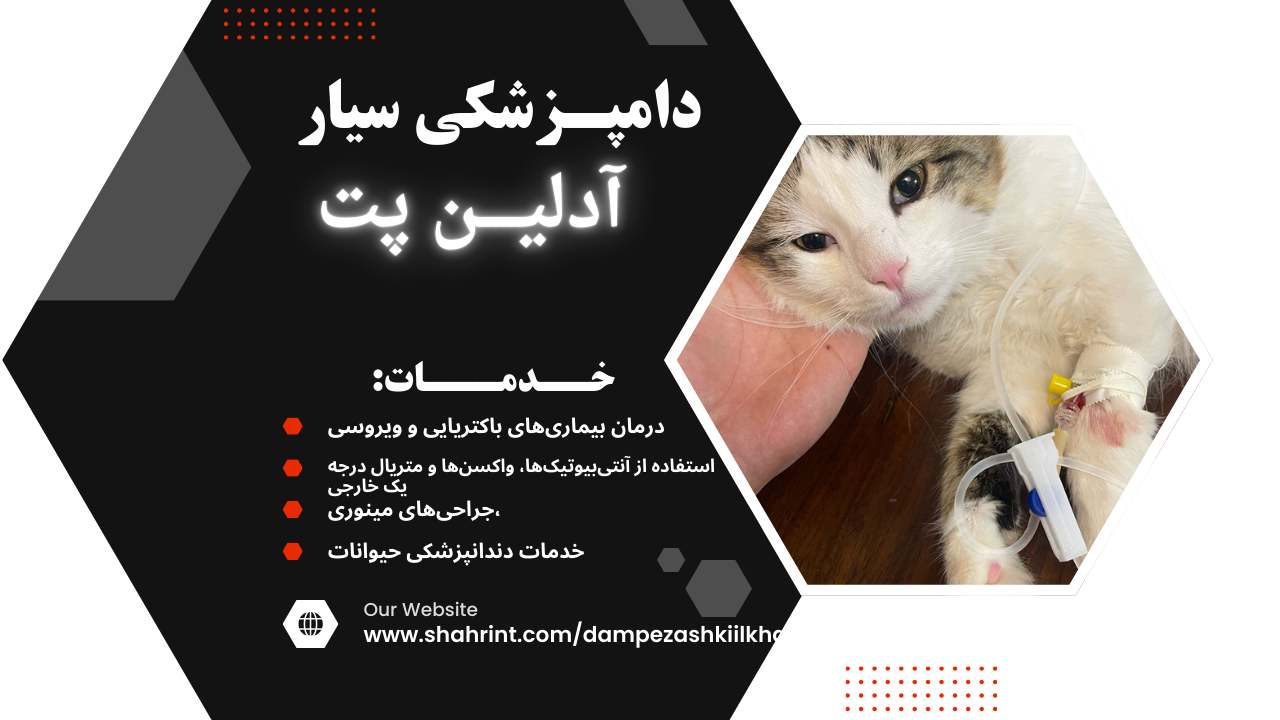 دامپزشکی سیار در شرق تهران