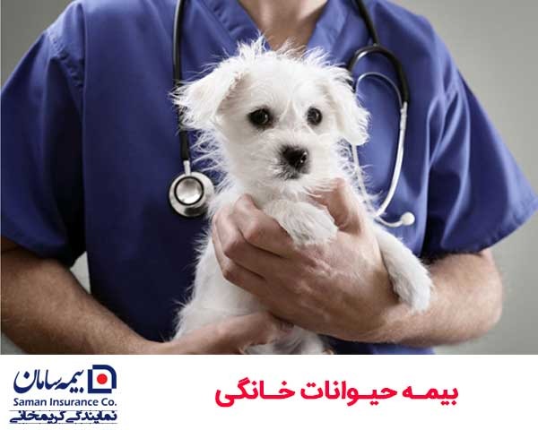 بیمه درمان تکمیلی بیمه سامان در میرداماد