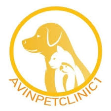 بهترین کلینیک دامپزشکی و پت شاپ در عظیمیه کرج