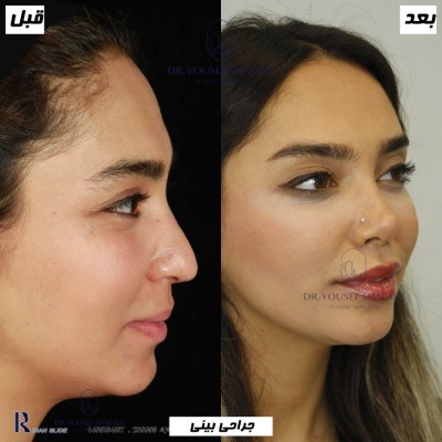 دکتر یوسف شفائی