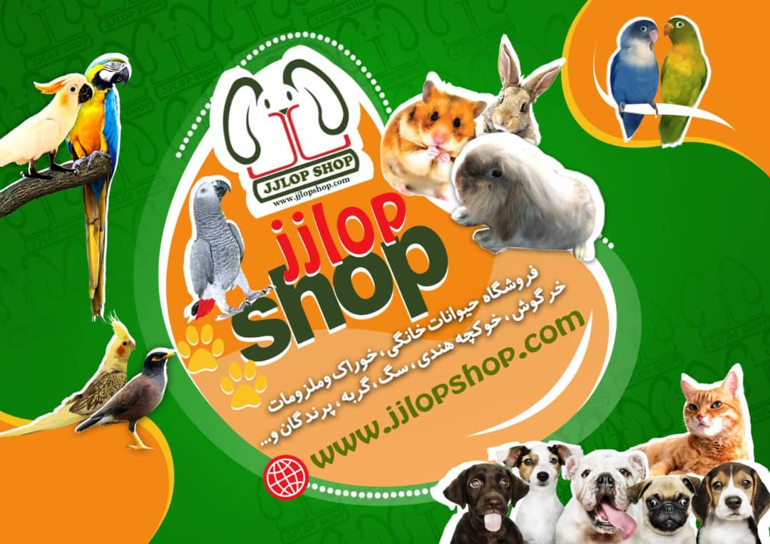  پت شاپ جی جی لوپ