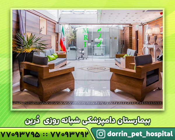 کلینیک دامپزشکی شبانه روزی درین 