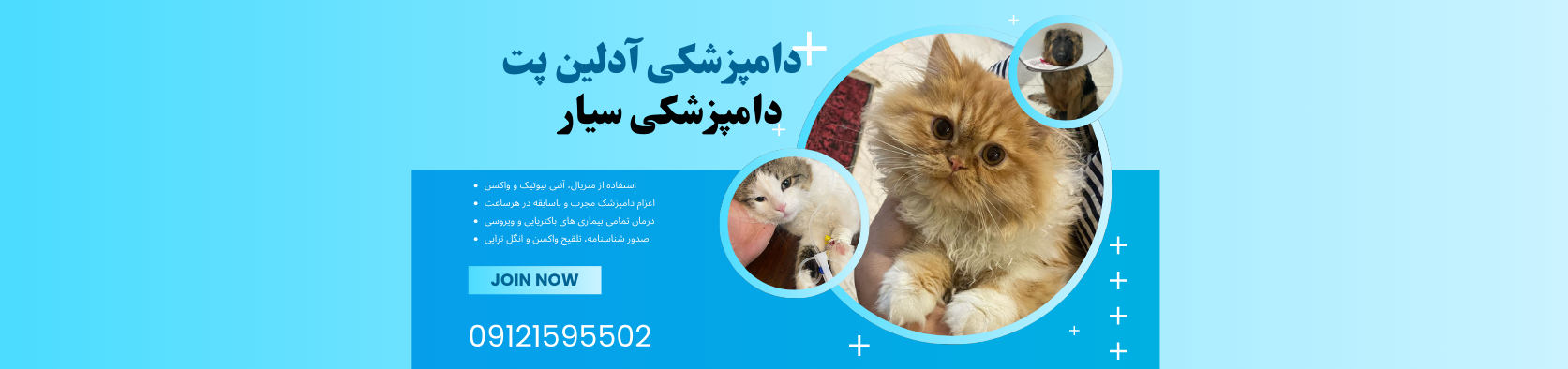 دامپزشکی سیار در رسالت پزشکی و سلامت دامپزشکی سیار در رسالت پزشکی و سلامت