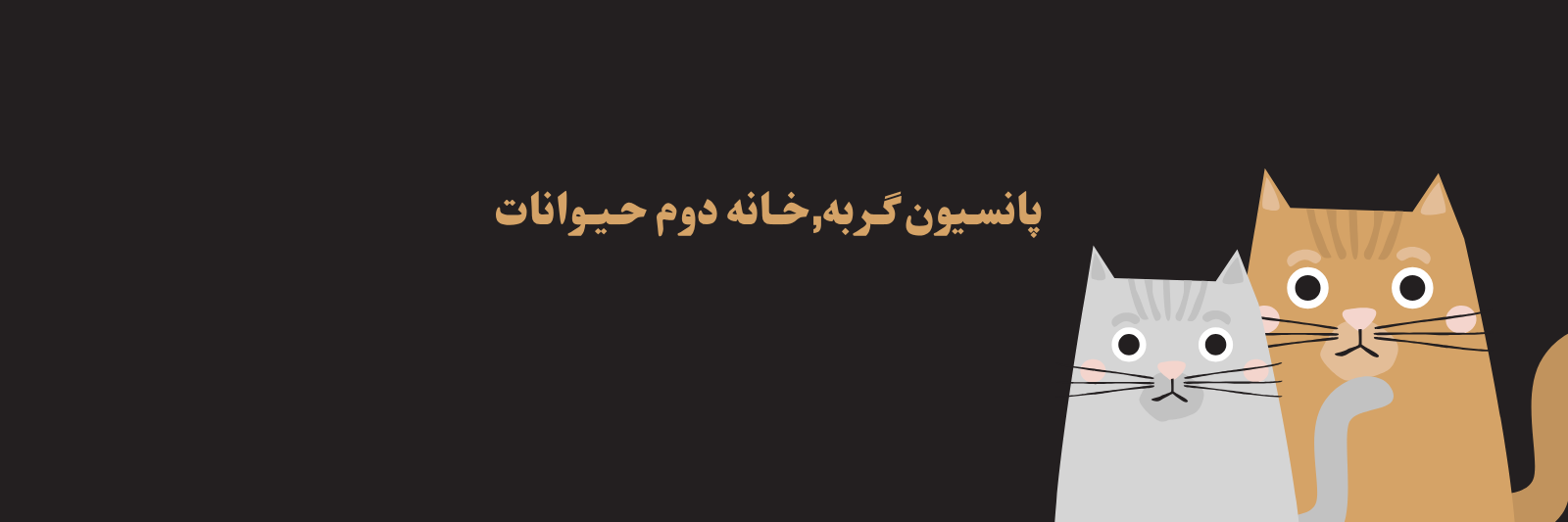 بهترین پانسیون گربه در منطقه 6 تهران خدمات عمومی بهترین پانسیون گربه در منطقه 6 تهران خدمات عمومی