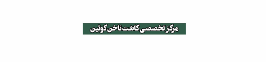 سالن ناخنکار خوب در پونک منطقه 5 تهران آرایشگاه زنانه سالن ناخنکار خوب در پونک منطقه 5 تهران آرایشگاه زنانه